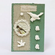 Vintage Bird Illustration