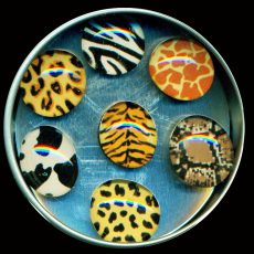 Animal Prints Magnet Set