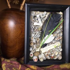 Crow Feather Shadowbox