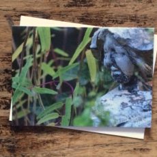 Garden Lady 2 mote card