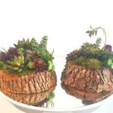 Artificial Succulent Arrangement