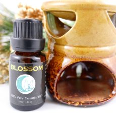 Ceramic Essencial Oil Burner